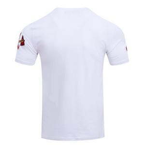 Pro Standard Men's MLB Atlanta Braves Classic Chenille Top