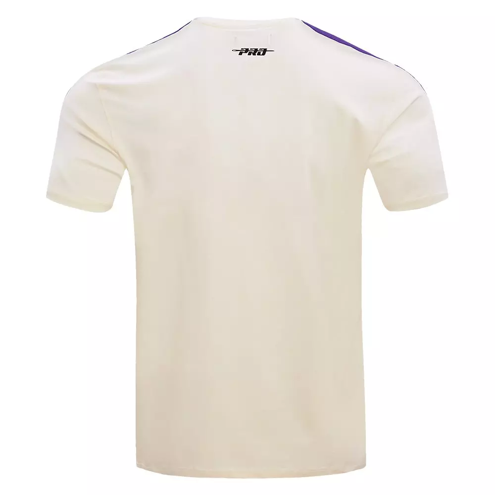 Pro Standard Men's MLB Arizona Diamondbacks Retro Classic Striped Top - PURPLE