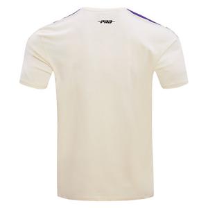 Pro Standard Men's MLB Arizona Diamondbacks Retro Classic Striped Top