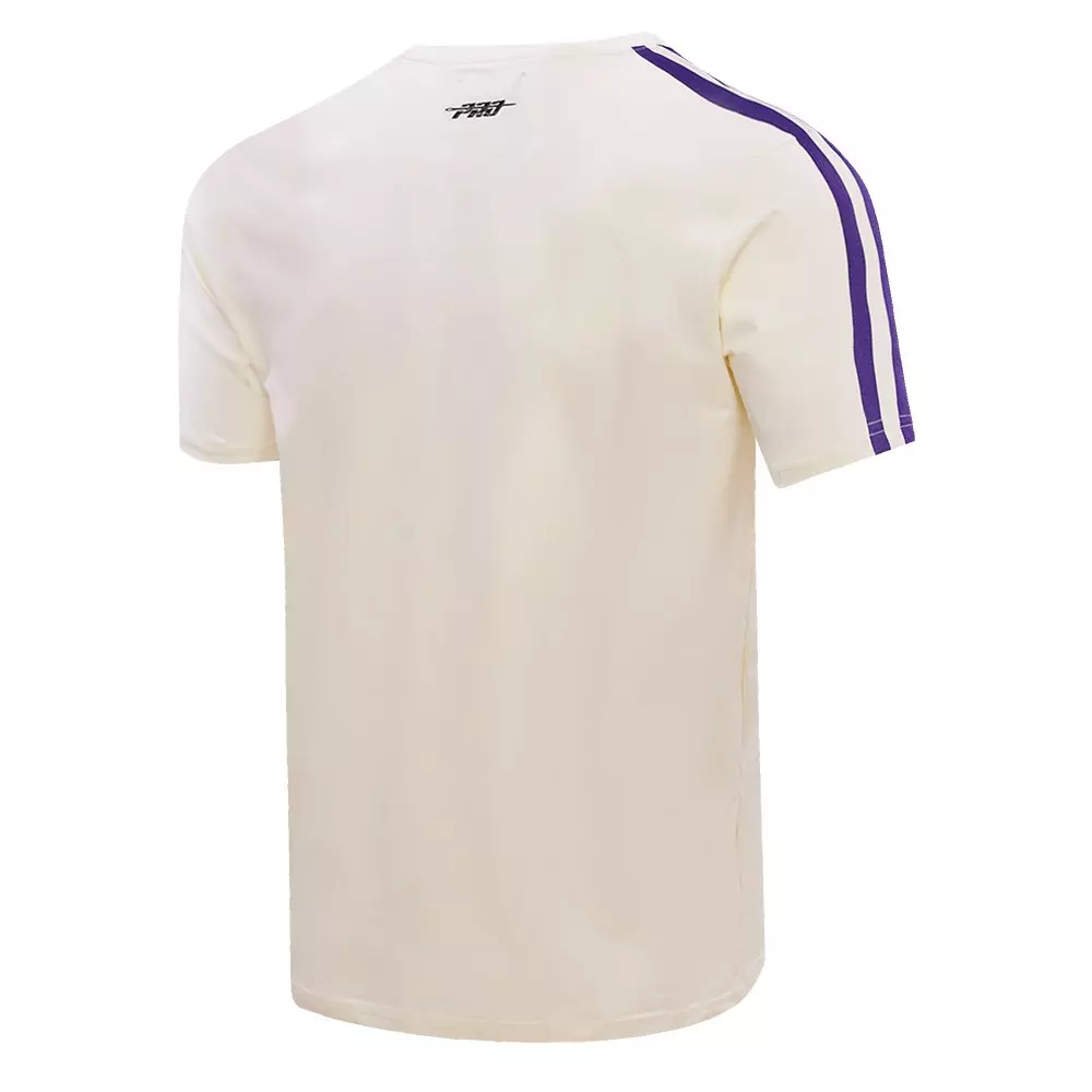 Pro Standard Men's MLB Arizona Diamondbacks Retro Classic Striped Top - PURPLE