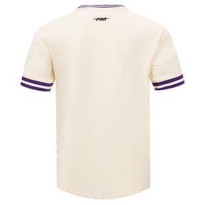 Pro Standard Men's MLB Arizona Diamondbacks Retro Classic Top - Eggshell/Purple