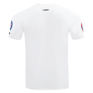 Pro Standard Men's MLB Chicago Cubs Classic Chenille Top