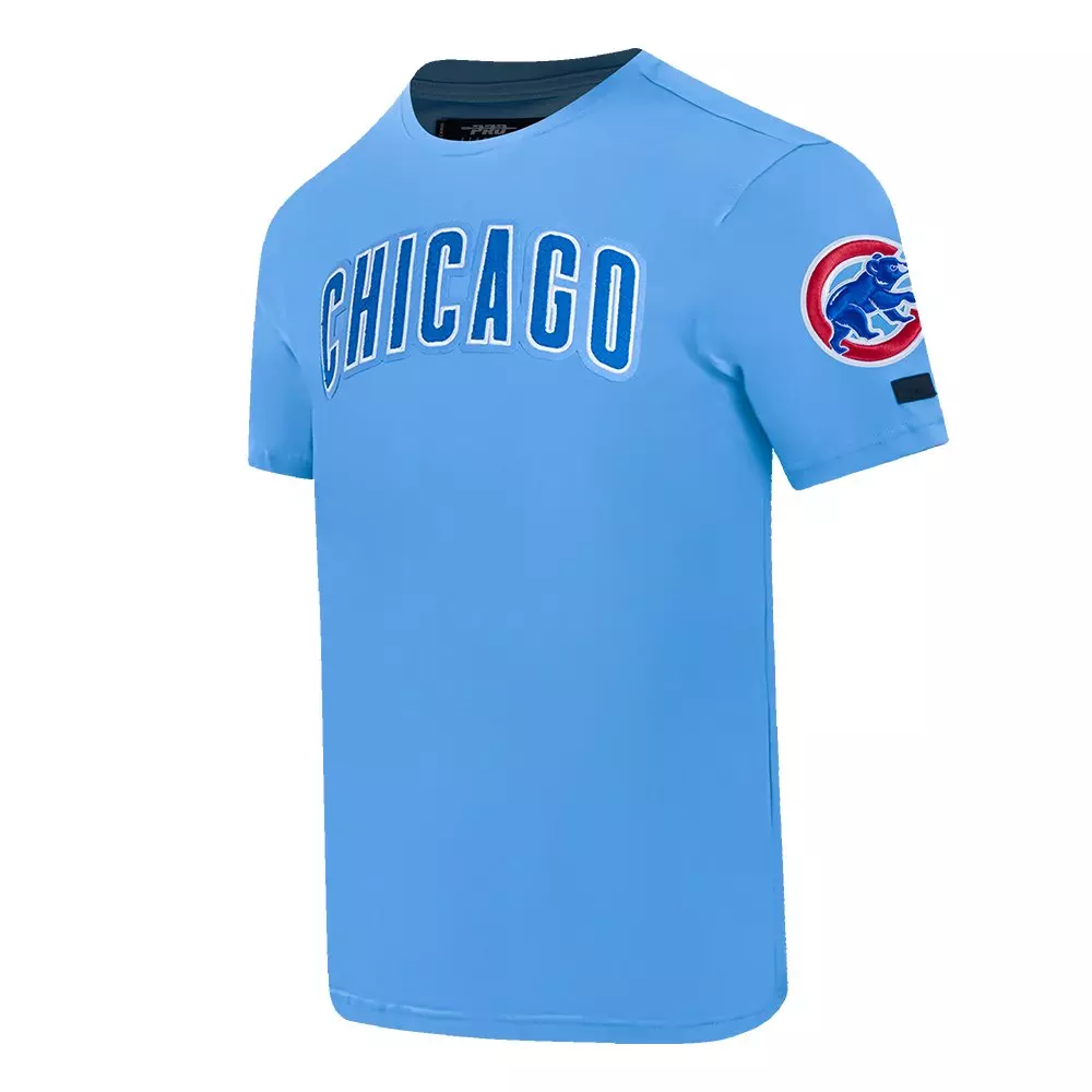 Pro Standard Men's MLB Chicago Cubs Classic Chenille Top - BLUE
