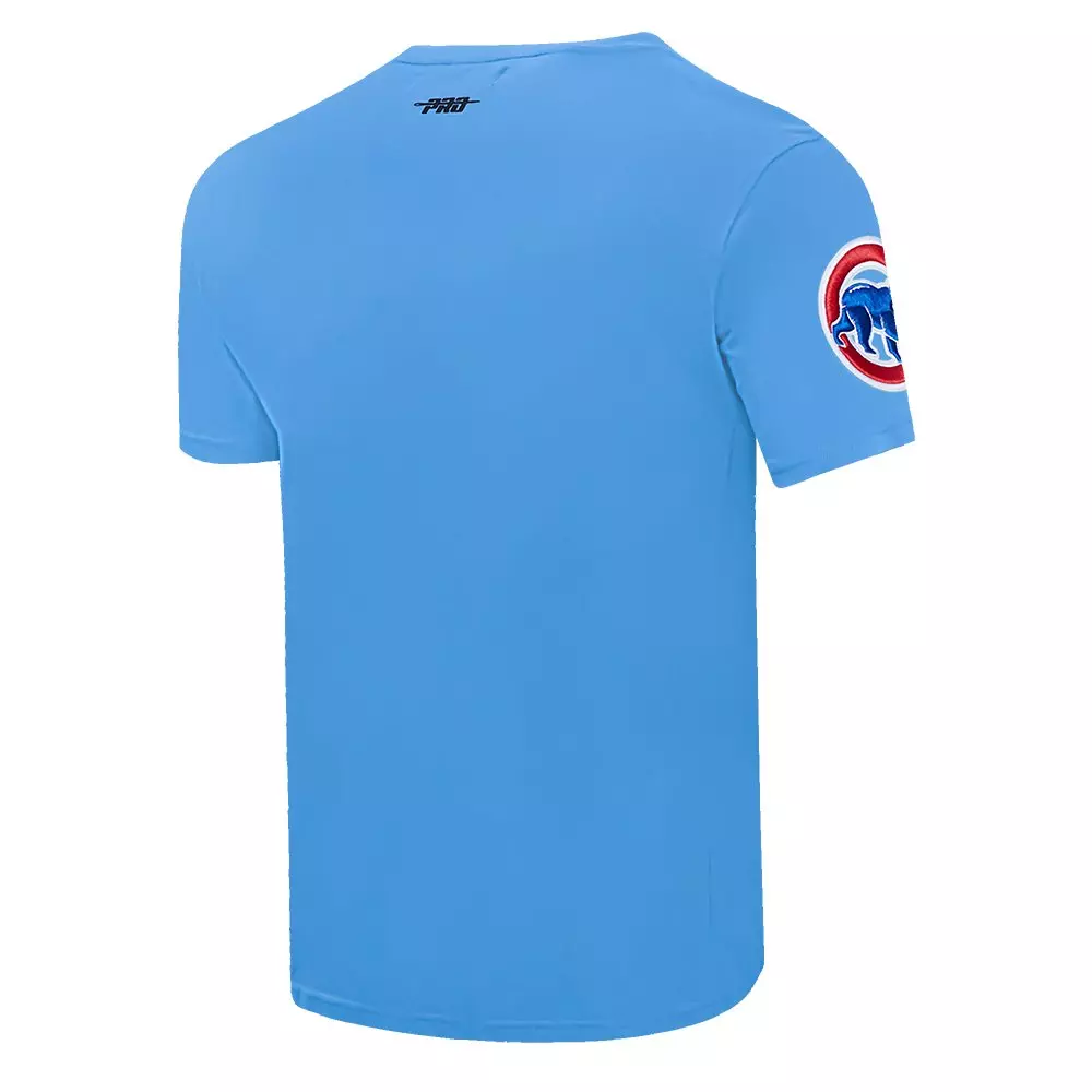Pro Standard Men's MLB Chicago Cubs Classic Chenille Top - BLUE