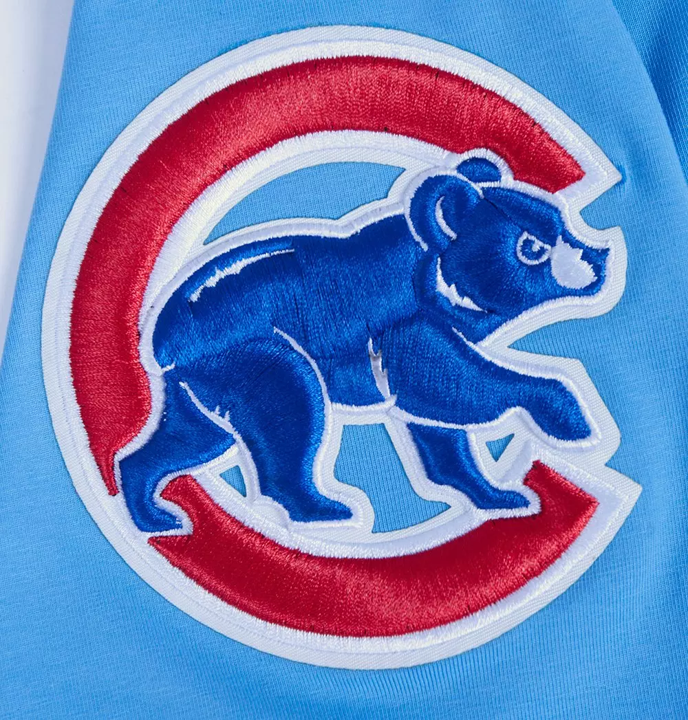 Pro Standard Men's MLB Chicago Cubs Classic Chenille Top - BLUE