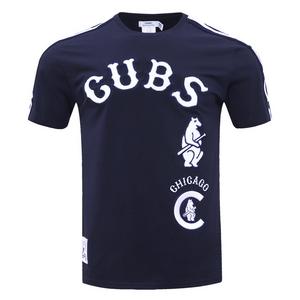 Pro Standard Men's MLB Chicago Cubs Retro Classic Striped Top