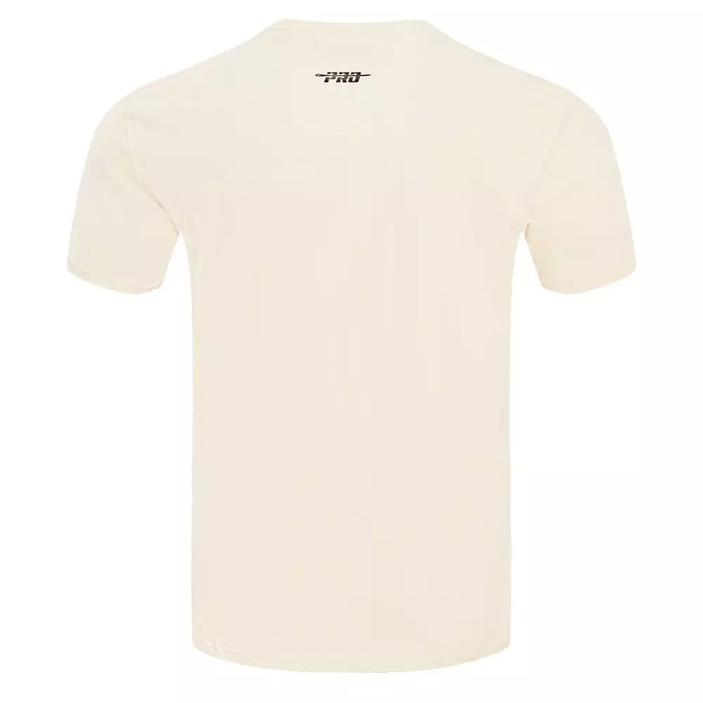 Pro Standard Men's MLB Chicago Cubs Retro Classic Striped Top - EGGSHELL