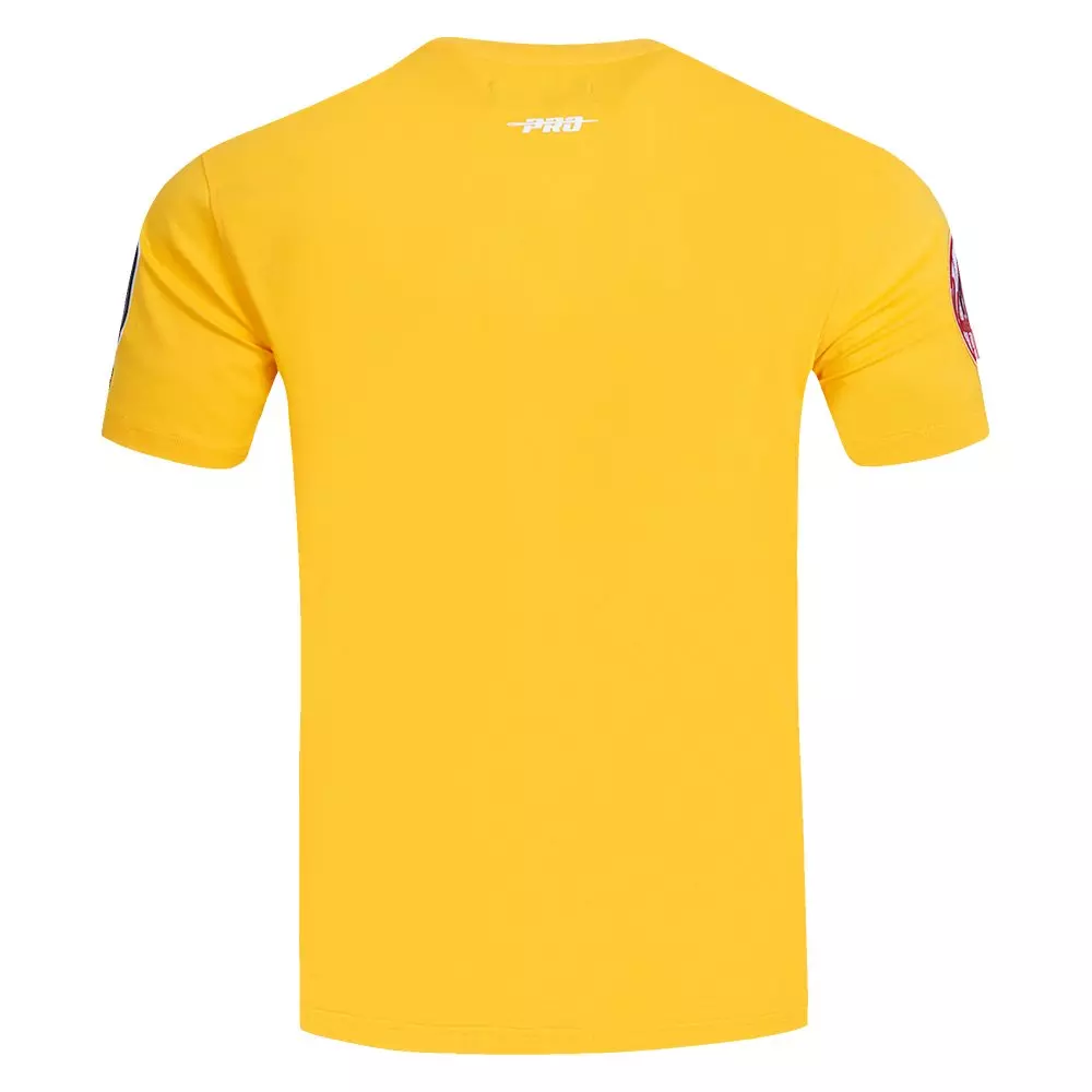 Pro Standard Men's MLB New York Yankees Classic Chenille Top - YELLOW