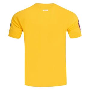 Pro Standard Men's MLB New York Yankees Classic Chenille Top