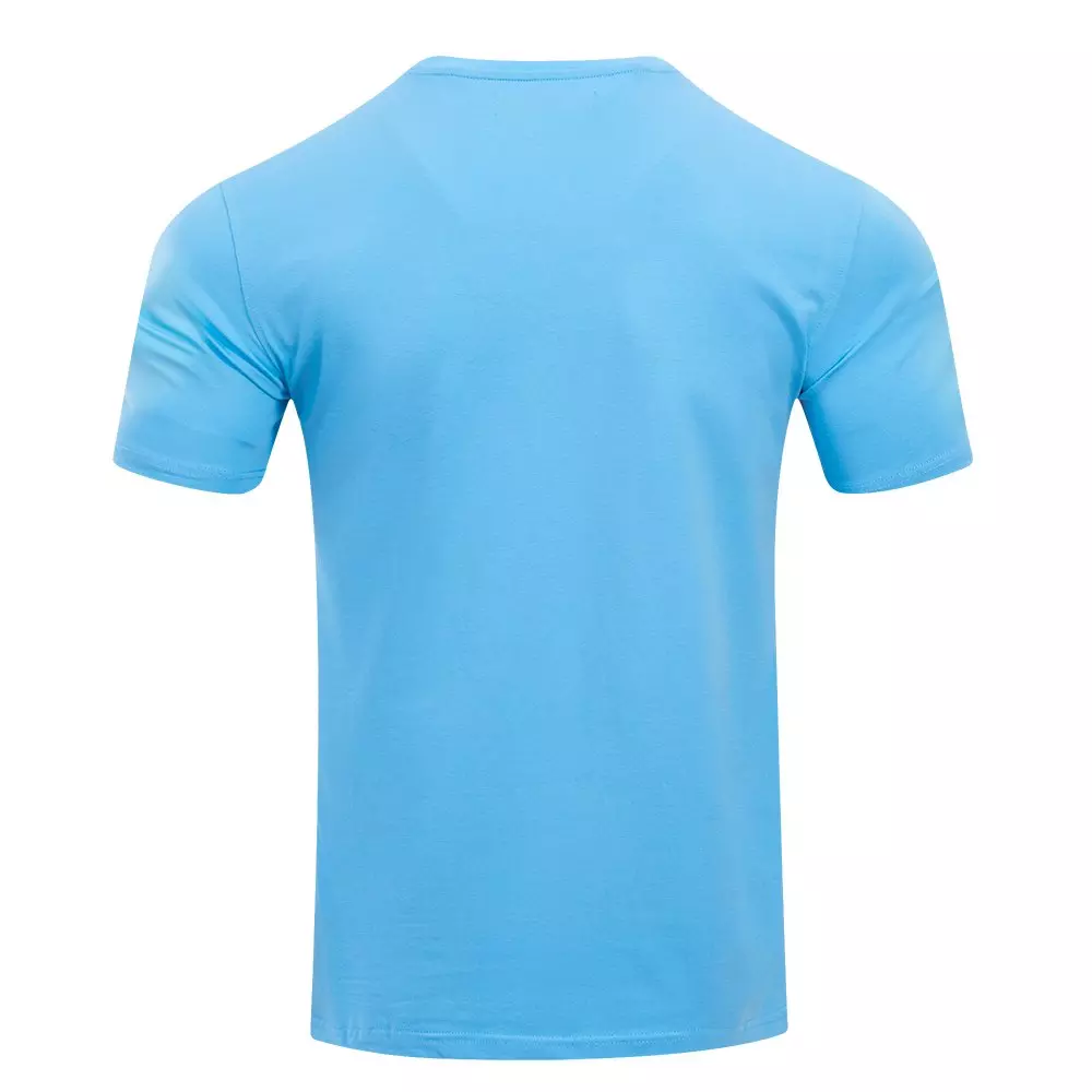 Pro Standard Men's MLB New York Yankees Classic Chenille Top - BLUE