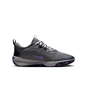 Nike Omni Multi-Court "Smoke Grey/Action Grape/Light Smoke Grey/Gold" Grade School Boys' Shoe - GREY/GRAPE/LT GREY/GOLD
