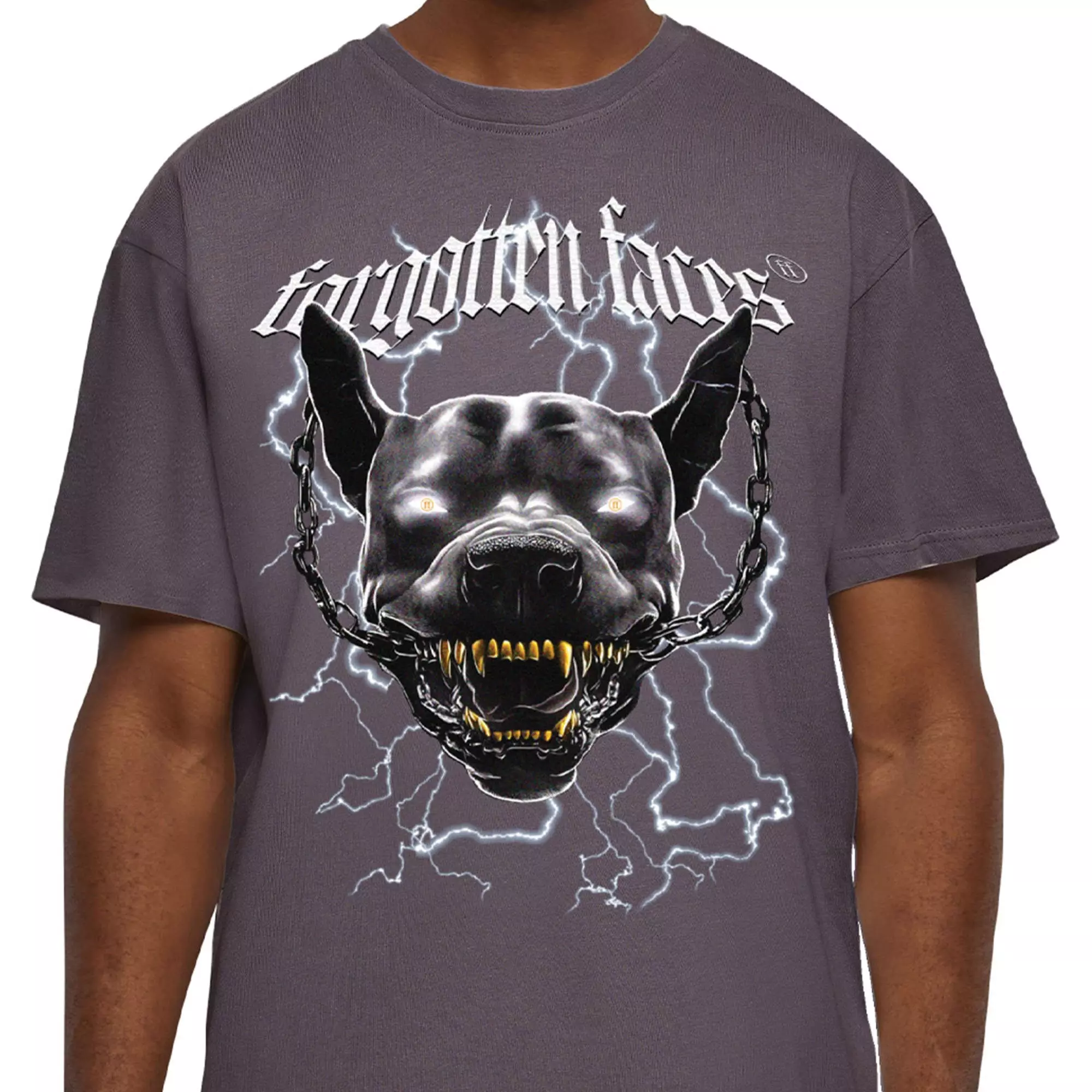 Forgotten Faces Men's Electric Pitbull Tee - GREY