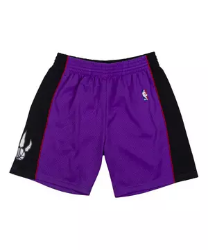 mitchell and ness shorts raptors