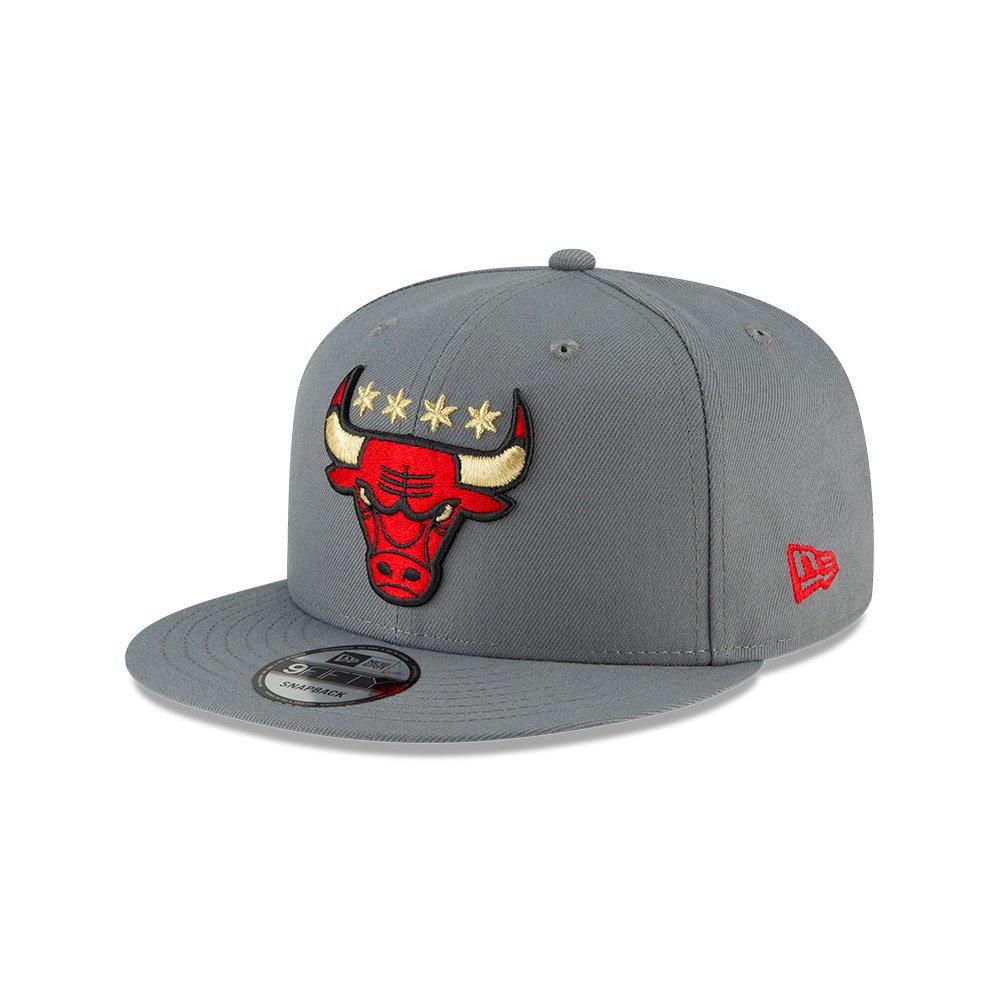 chicago bulls city edition hat