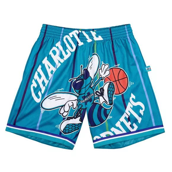 Charlotte Hornets Mitchell & Ness NBA Jersey Shorts L Large