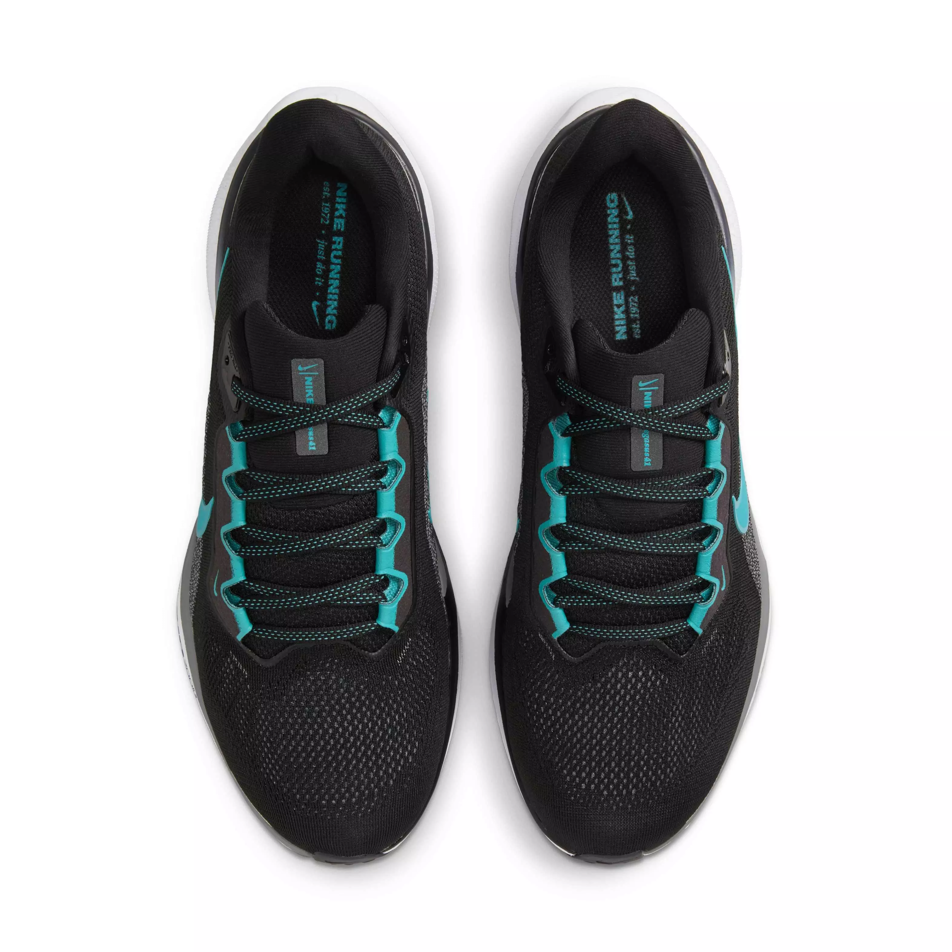 Nike Pegasus 41 "Black/Cool Grey/White/Dusty Cactus" Men's Running Shoe - BLACK/GREY/WHITE/CACTUS