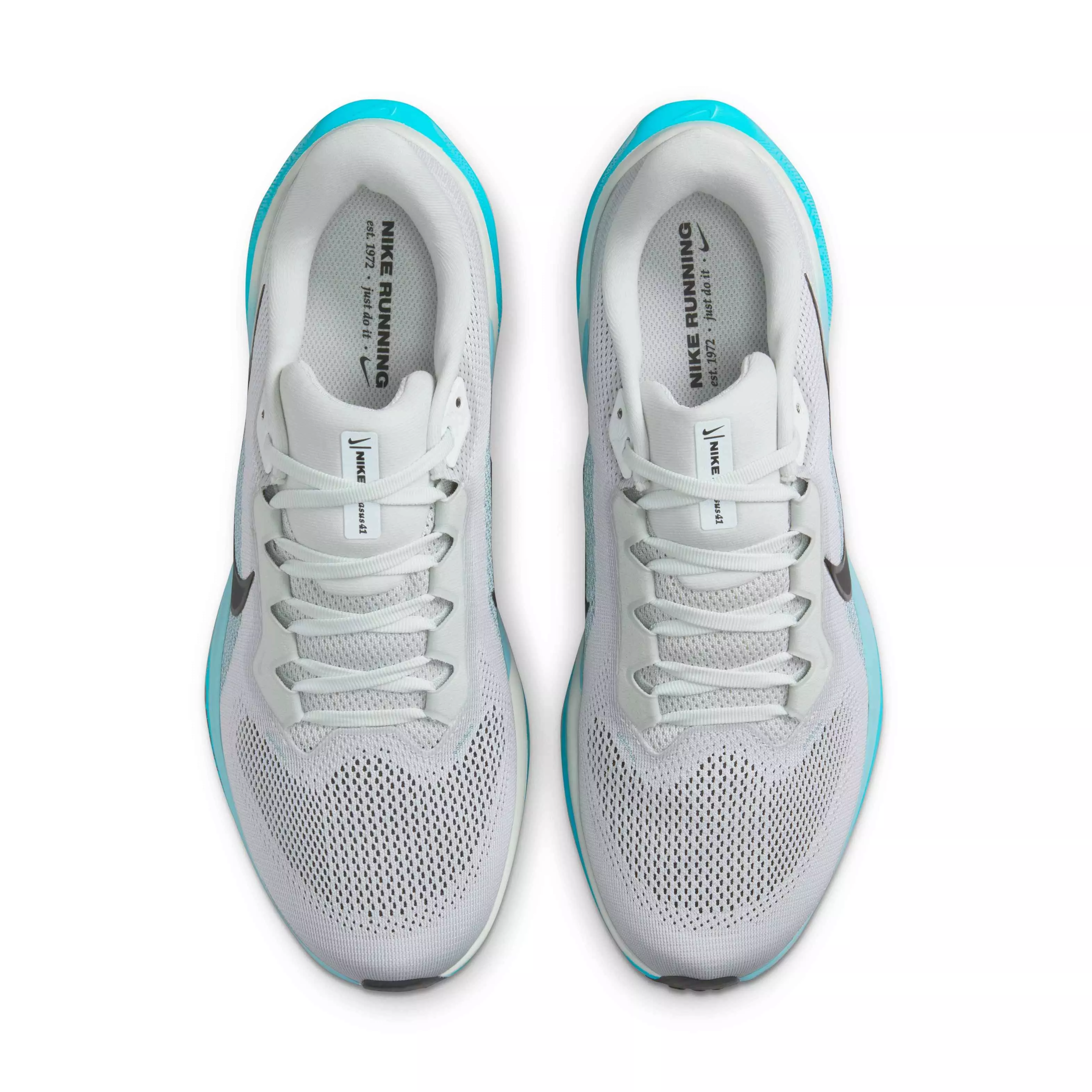 Nike Pegasus 41 "Light Silver/Denim Turquoise/Dusty Cactus/Black" Men's Running Shoe - LT SILVER/TURQUOISE/CACTUS/BLACK