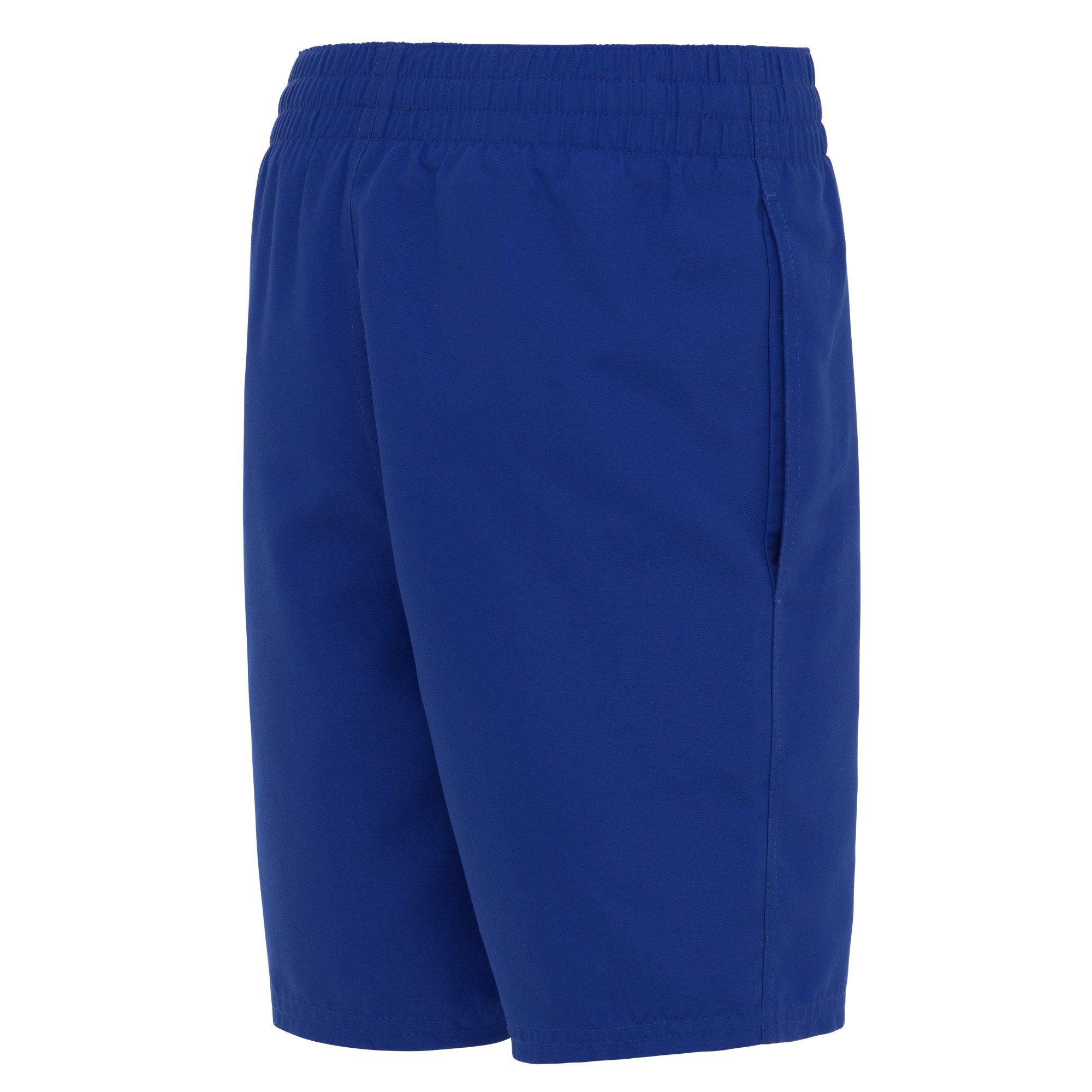 Nike Big Boys' Swim Breaker Essential 6" Brief-Lined Volley Swim Shorts - ROYAL Thumbnail View 2