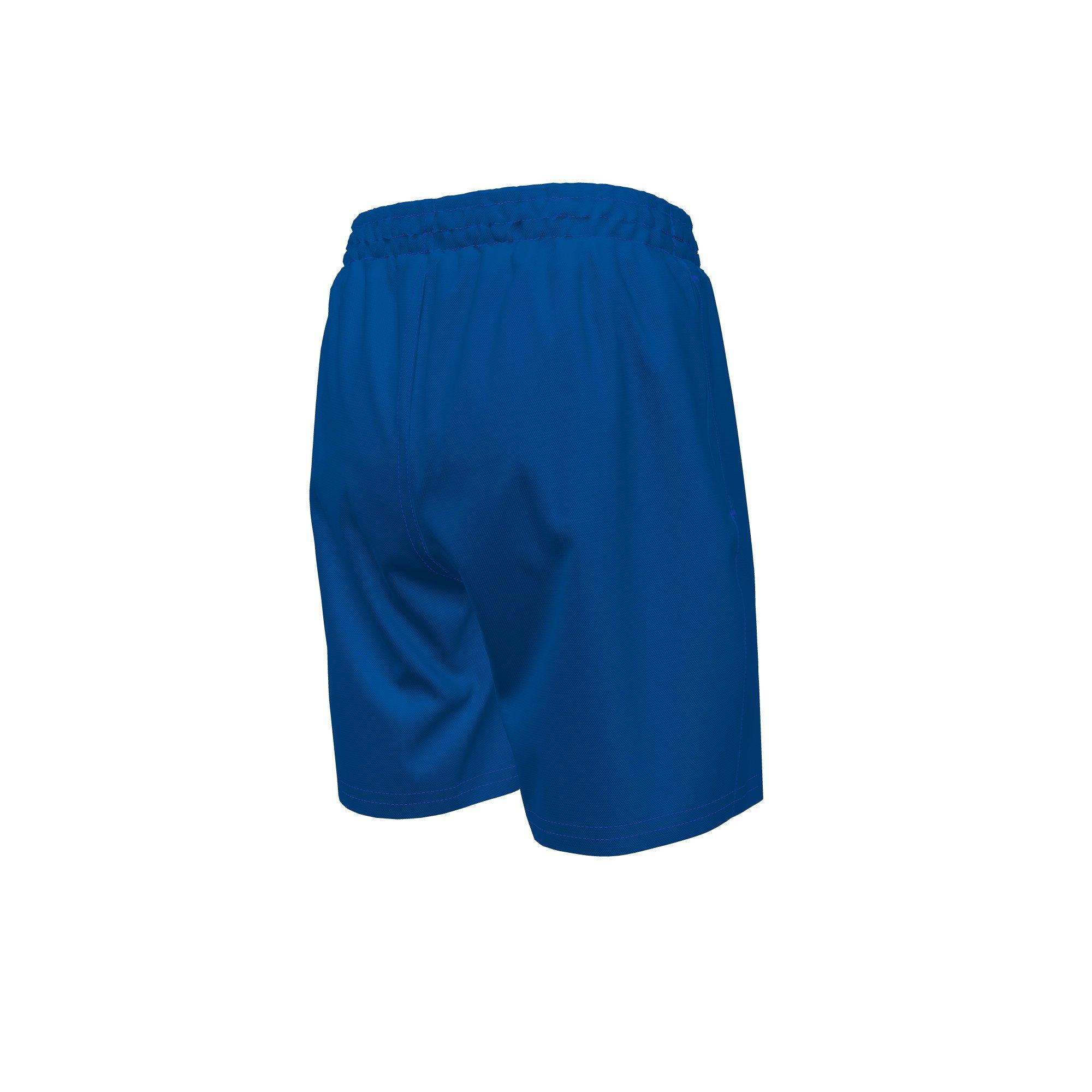 Nike Big Boys' Swim Breaker Essential 6" Brief-Lined Volley Swim Shorts - ROYAL Thumbnail View 4