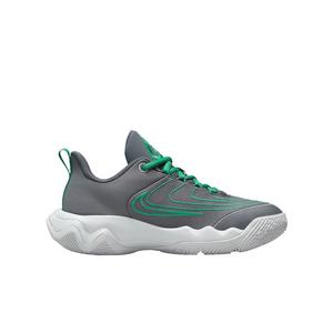 Nike Giannis Immortality 4 "Smoke Grey/Wolf Grey/Stadium Green" Grade School Boys' Basketball Shoe