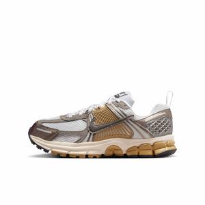 Nike Vomero 5 "Metallic Pewter/Parachute Beige/White/Medium Ash" Grade School Boys' Shoe