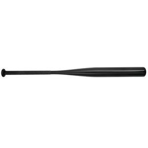 Mizuno CRBN1 Cage Bat Fastpitch Softball Training Bat (-10)