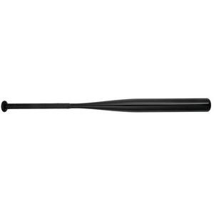 Mizuno CRBN1 Cage Bat Fastpitch Softball Training Bat (-8)