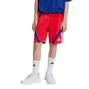 adidas Big Kids' House of Tiro Shorts - Red/Blue