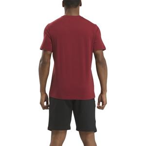 Reebok Men's Identity Big Stacked Logo Shirt-Maroon
