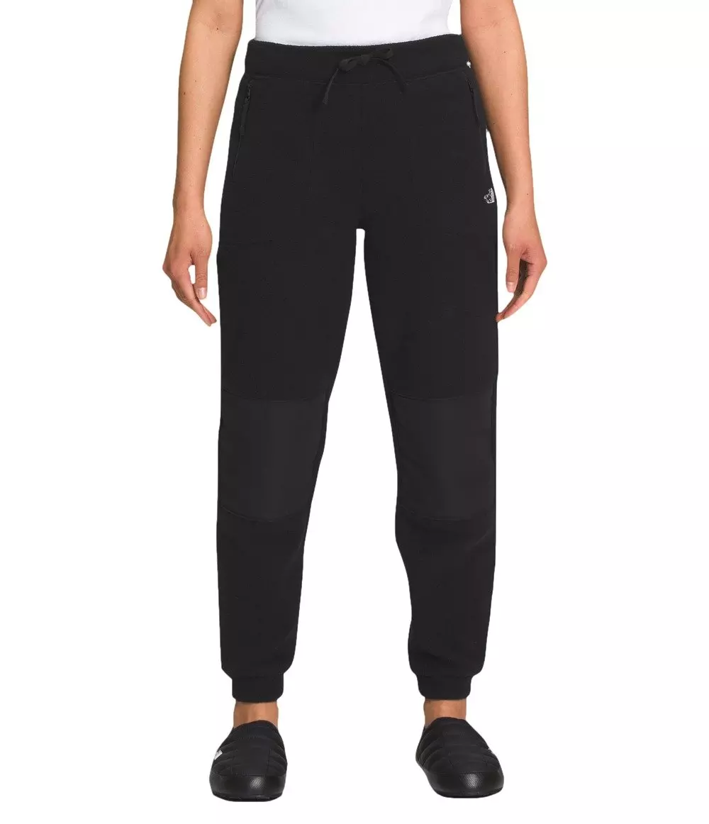 The North Face Women's Alpine Polartec 200 Pants - BLACK