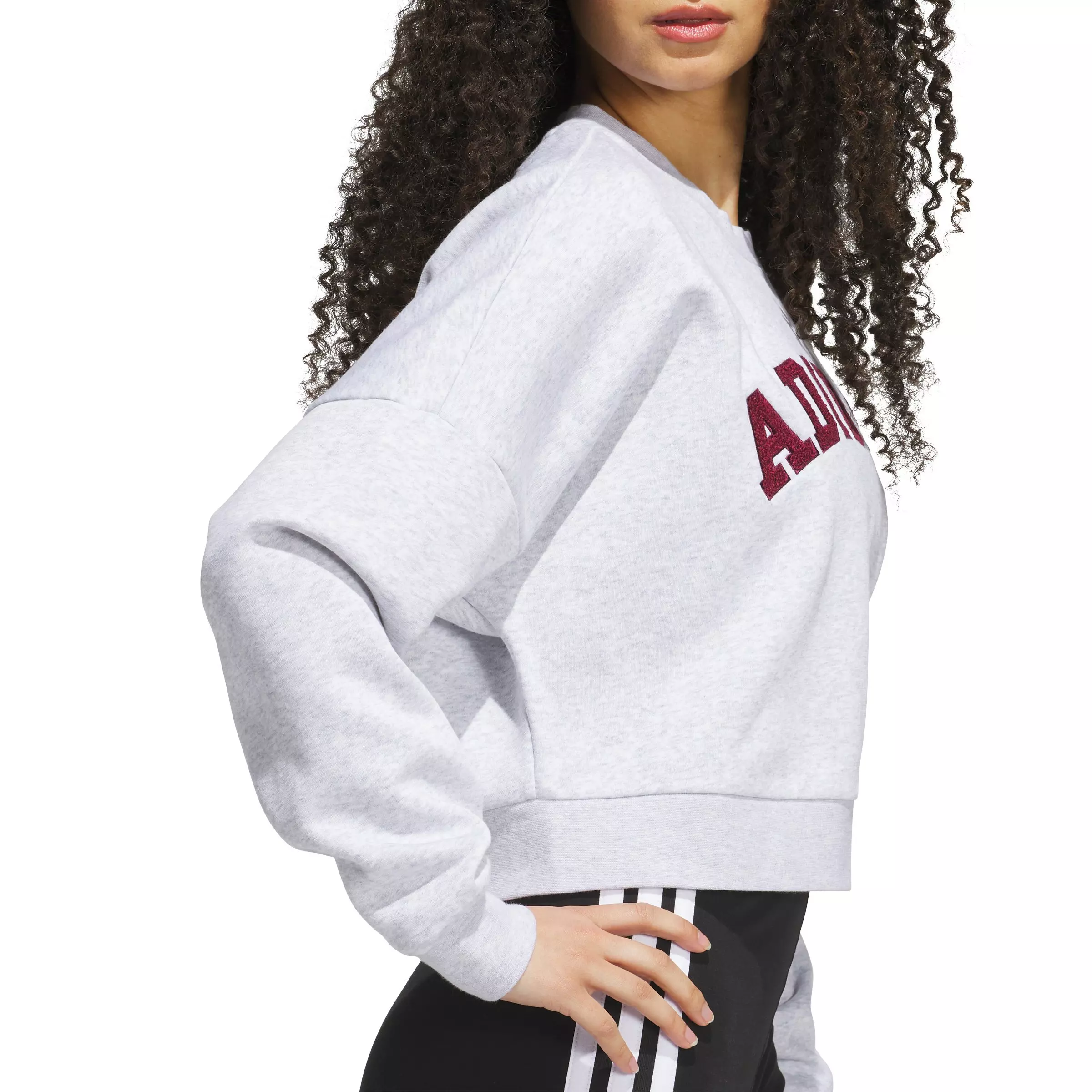 adidas Women's Chenille Logo Graphic Sweatshirt - Lt Grey - LT GREY