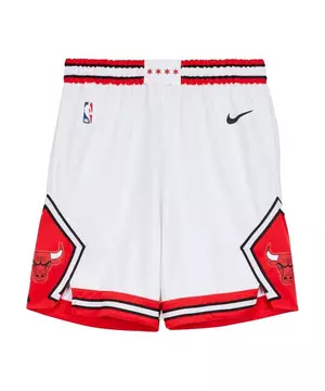 Nike Chicago Bulls Icon Edition Authentic Men's Nba Shorts in Red