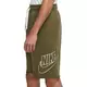 Nike Men's Sportswear Sport Classic Essentials French Terry Alumni Shorts - DK GREEN Thumbnail View 4