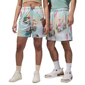 Jordan Men's Essentials Printed Mesh Shorts -White/Blue