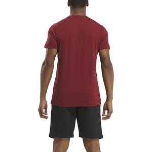 Reebok Men's Identity Classics Shirt-Maroon
