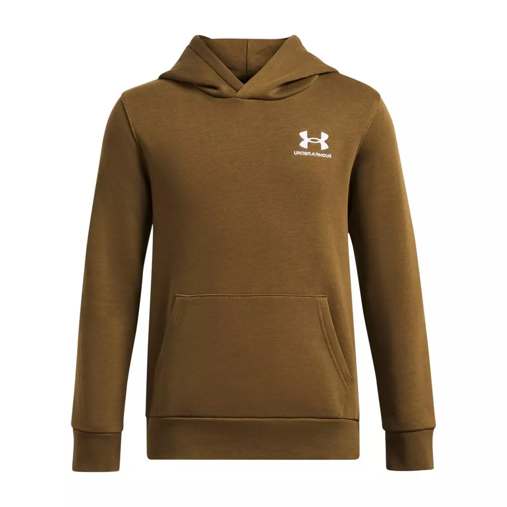 Under Armour Big Boys' UA Icon Fleece Hoodie Brown