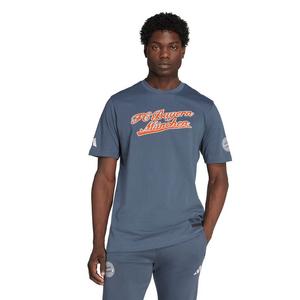 adidas Men's FC Bayern US Pack T-Shirt -Grey