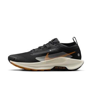 Nike Pegasus Trail 5 GORE-TEX "Off Noir/Black/Monarch/Pale Ivory" Men's Trail Running Shoe