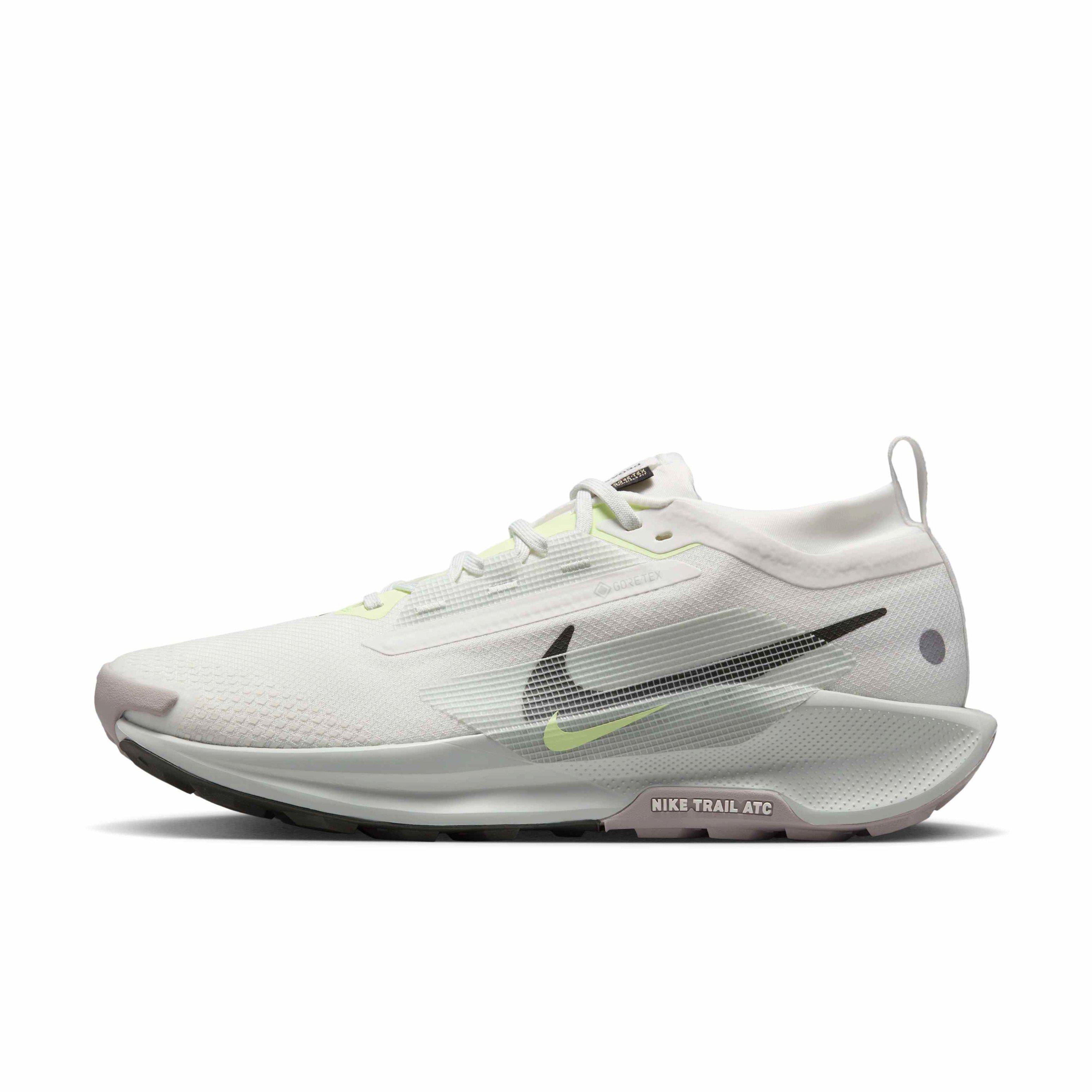 Nike Pegasus Trail 5 GORE-TEX 