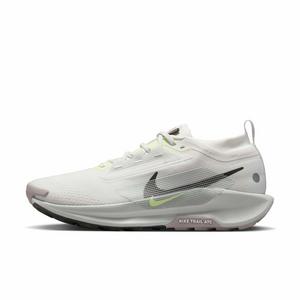 Nike Pegasus Trail 5 GORE-TEX "Summit White/Lt Silver/Grey/Sequoia" Men's Trail Running Shoe