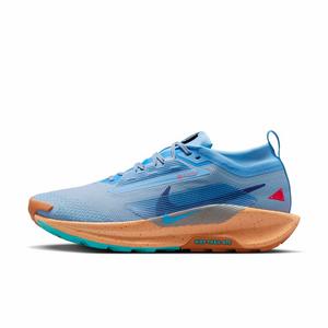 Nike Pegasus Trail 5 GORE-TEX "Blue Beyond/Copper Moon/Monarch/Blue Void" Men's Trail Running Shoe