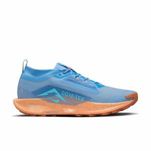 Nike Pegasus Trail 5 GORE-TEX "Blue Beyond/Copper Moon/Monarch/Blue Void" Men's Trail Running Shoe