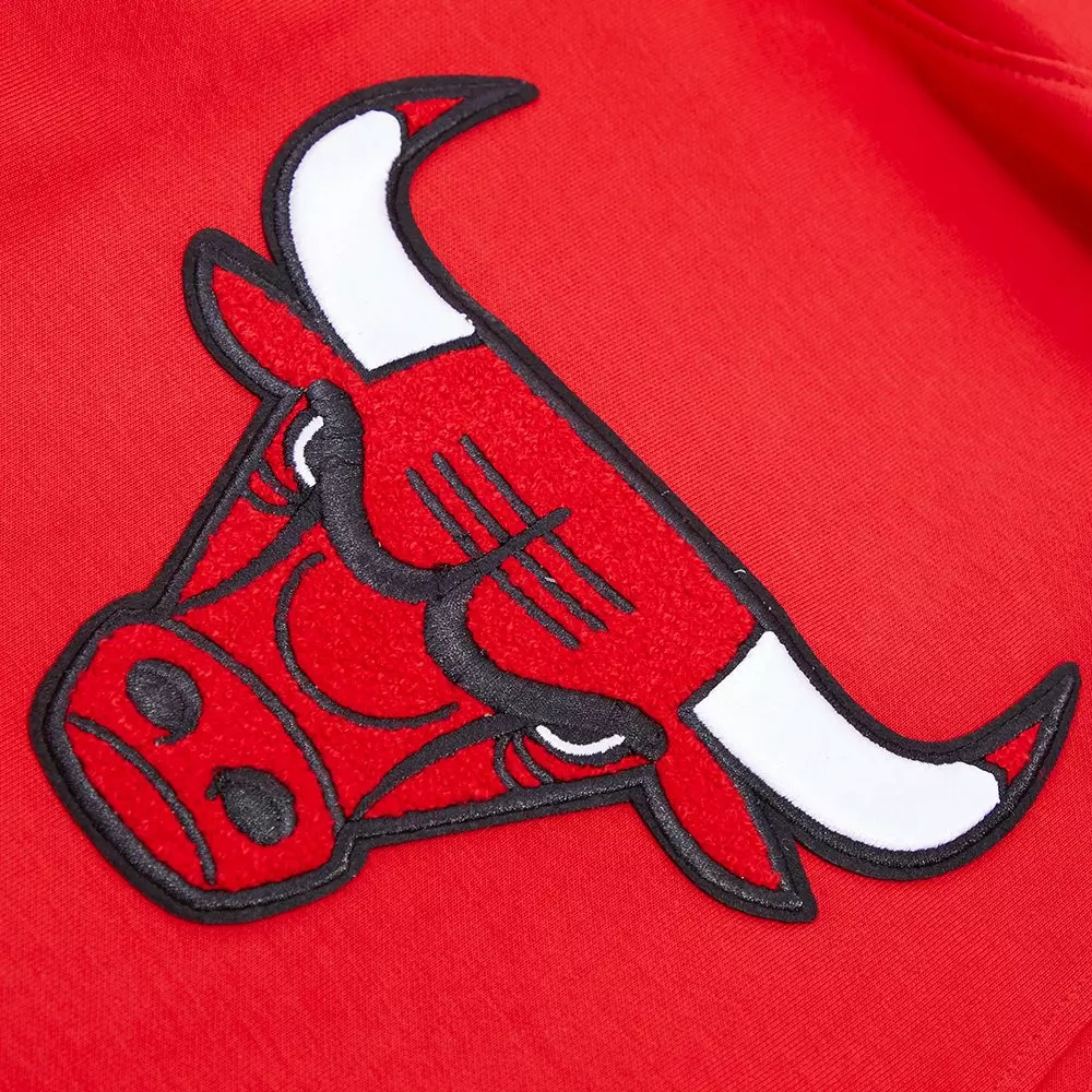 Pro Standard Men's Chicago Bulls Classic Chenille DK PO Hoodie -Red - RED