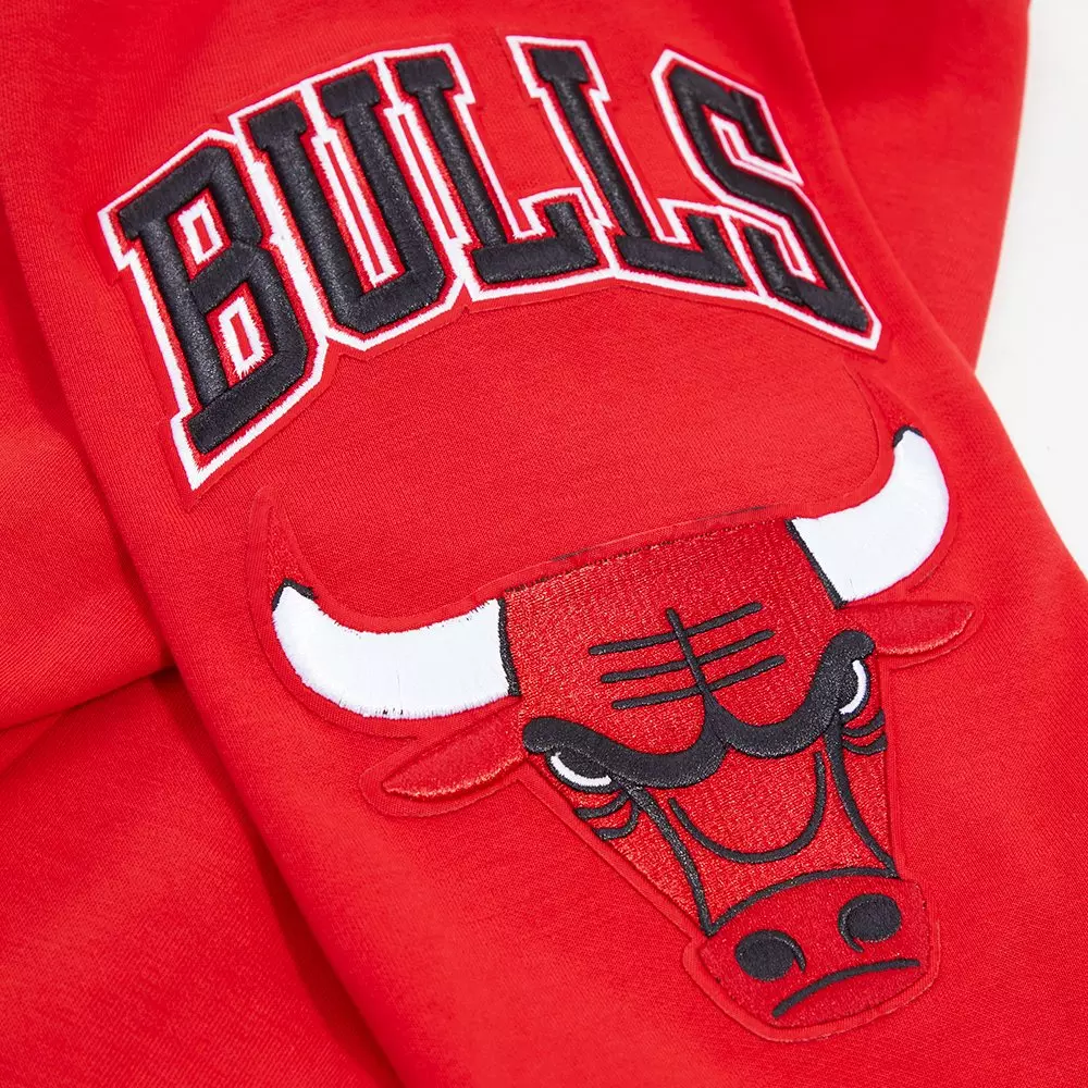 Pro Standard Men's Chicago Bulls Classic Chenille DK PO Hoodie -Red - RED