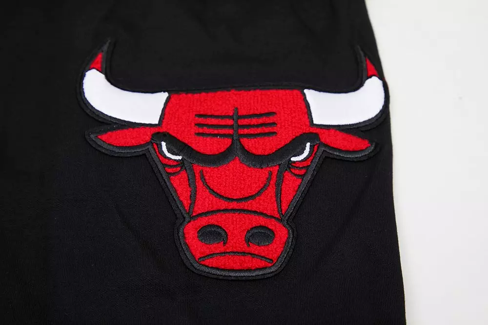 Pro Standard Men's Chicago Bulls Classic Chenille DK PO Hoodie - Black - BLACK