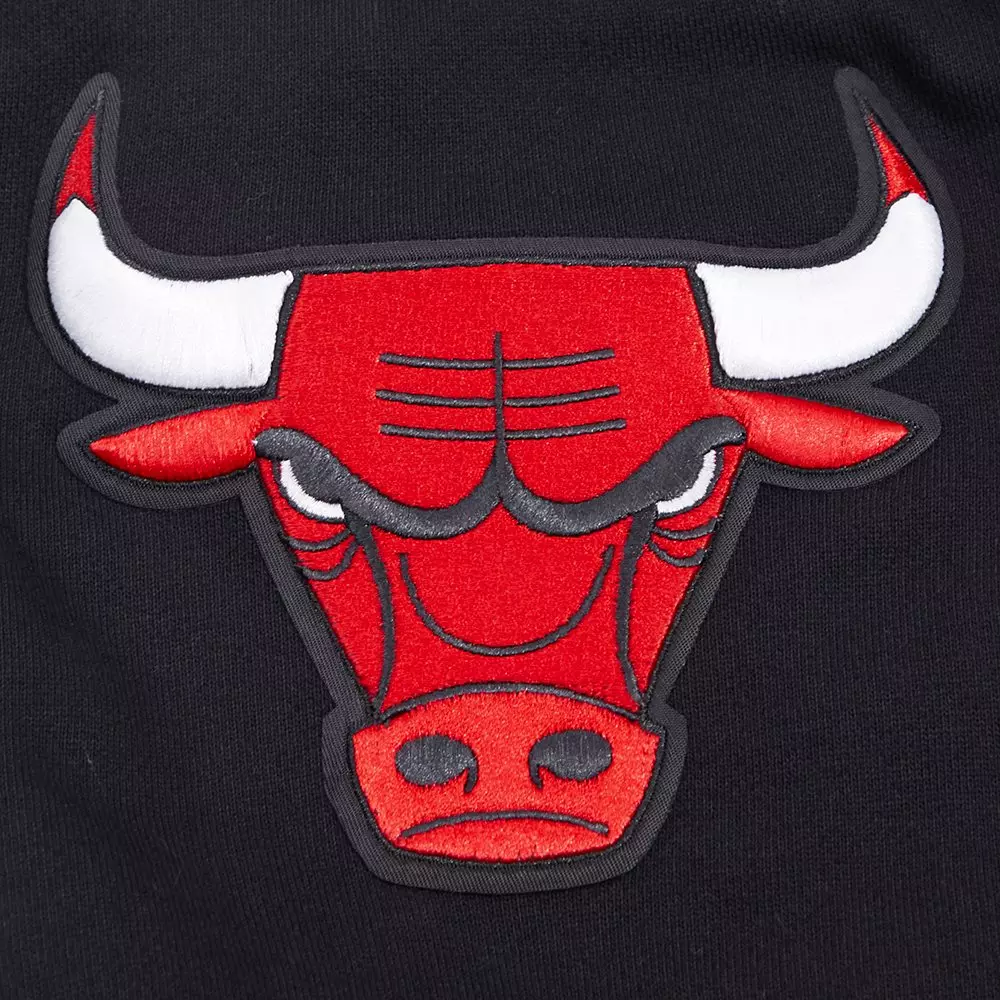 Pro Standard Men's Chicago Bulls Classic Fleece PO Hoodie - Black - BLACK