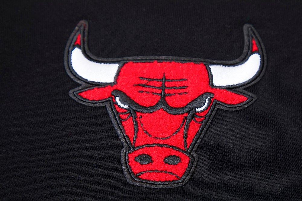 Pro Standard Women's Chicago Bulls Classic Fleece Cropped PO Hoodie - Black - BLACK Thumbnail View 5