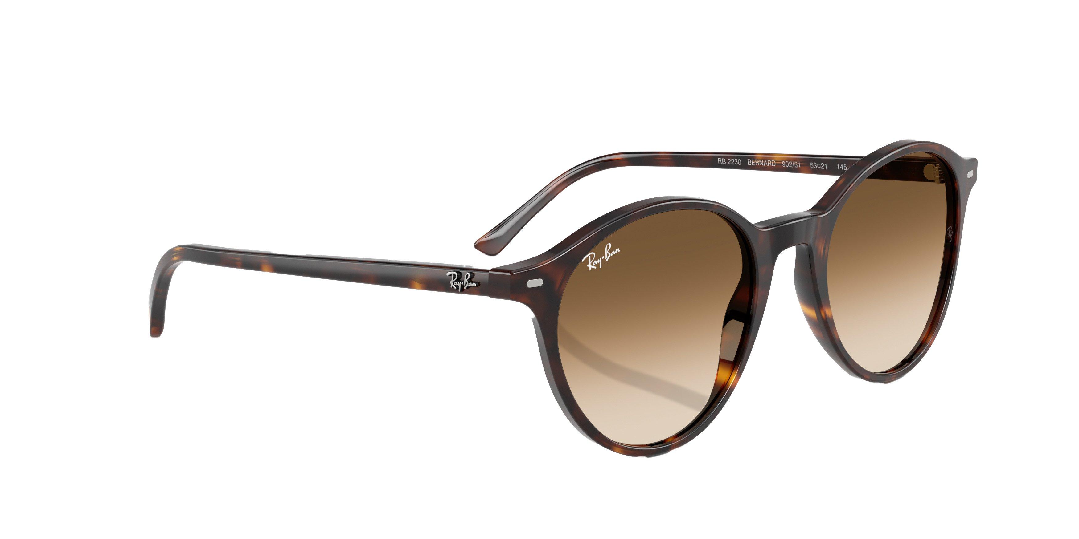 Ray-Ban Bernard Sunglasses - BROWN Thumbnail View 5