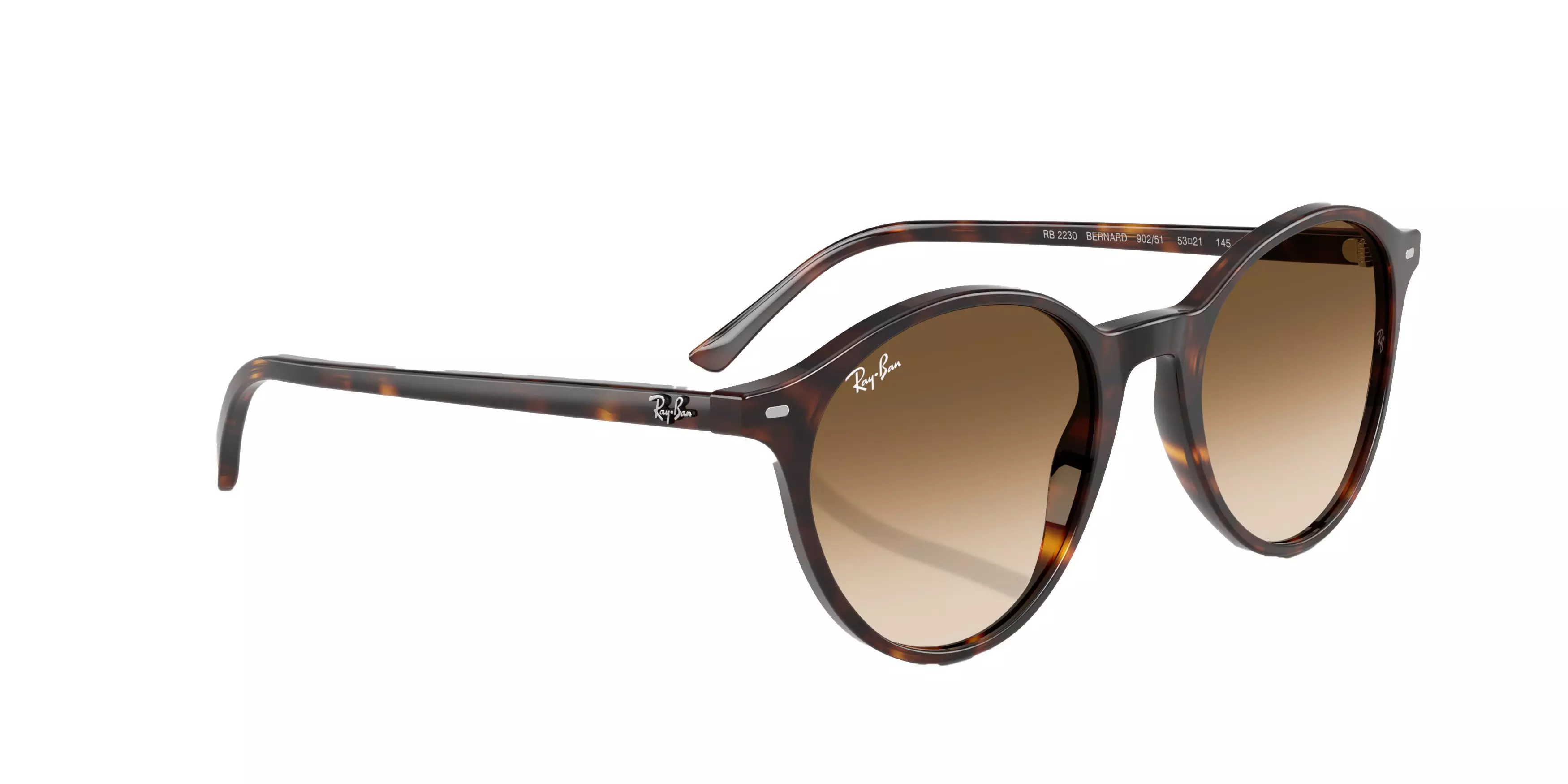 Ray-Ban Bernard Sunglasses - BROWN