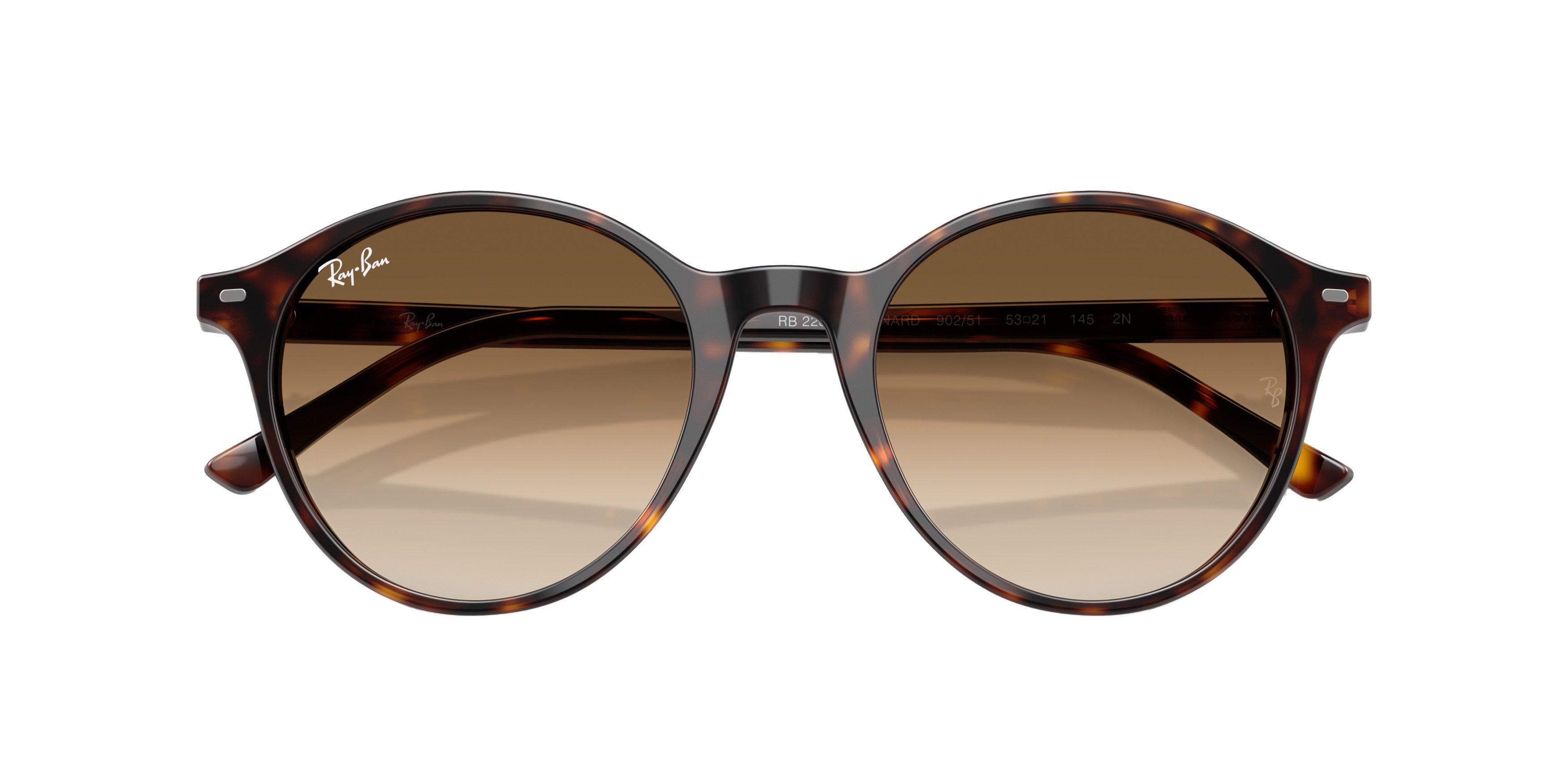 Ray-Ban Bernard Sunglasses - BROWN Thumbnail View 6